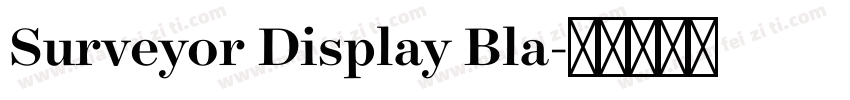 Surveyor Display Bla字体转换